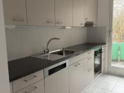 Moderne 4.5 Zimmerwohnung an ruhiger Lage