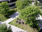 Moderne 4 Zimmer Terrassenwohnung am grünen Prater