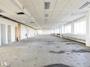 Moderne Gewerbefläche in Wiener Neudorf