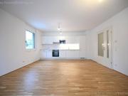 moderne Loggiawohnung: westseitig, Grünblick befristet