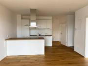Moderne Mietwohnung inkl. Einbauküche Top H10A