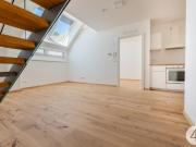 Moderne Neubau Etagenwohnung mit Dachterrasse –...