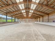Moderne Reitsportimmobilie mit Reithalle und Wohnhaus