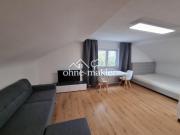 Moderne, renovierte und möblierte 1 Zimmer Wohnung in...