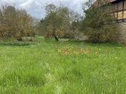 Moderne Wohlfühlatmosphäre Das Einfamilienhaus mit dem...