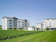 Moderne Wohnung in Amriswil!