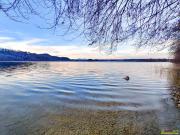 Modernes Haus nahe dem Mattsee mit eigenem Badeplatz....