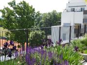 Modernes Wohnen im Brauquartier Puntigam