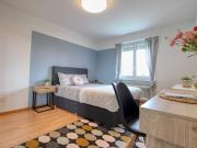 Modernes Wohnen in Dübendorf entdecken