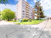 Modernisierte Wohnung in begrünter Umgebung sucht...