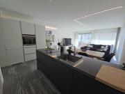 MODERNO 3.5 LOCALI IDEALE ANCHE COME B&B A BELLINZONA