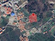 Moimenta da Beira Moimenta da Beira 91365067