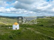 Moinho T1 Remodelado com Terreno de 6000 m² – Terrugem,...