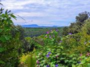 Moissac Bellevue, superbe bastide sur 2912 m2 de...