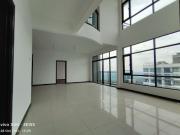 Molek Regency Penthouse Duplex Unit For Sale