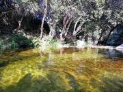 Molino Navarenas San Martin Del Pimpollar Ávila