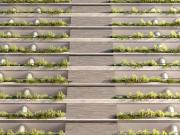Moma Moema | Construtora Kallas | Construção | 194...