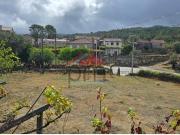 Monção Monção 94352464 Monção Monção 94352464