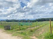 Monção Monção 95743887