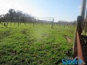 Monção Monção 97119967