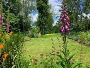 Moncoutant sur Sèvre 79240 Achat / Vente maison