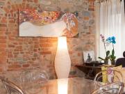 Mondovì: Appartamento in affitto