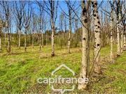 Monflanquin Vente Maison 47