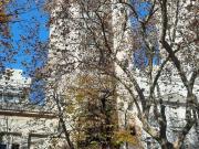 MONOAMBIENTE EN VENTA LA PLATA