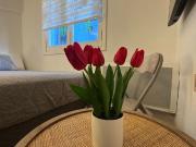 Monoambiente equipado Apto turismo Villegas 239