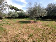 monolocale 860mq monolocale 860mq