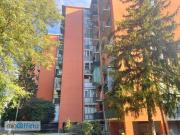 Monolocale Affori, bovisa, niguarda, testi