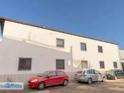 Monolocale arredato con terrazzo Borghesiana, finocchio,...