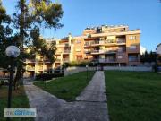 Monolocale arredato con terrazzo Giustiniana, olgiata,...