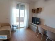 Monolocale arredato con terrazzo Portuense, magliana