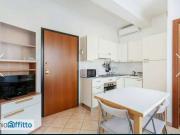 Monolocale arredato Murri