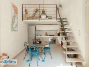 Monolocale arredato San salvario