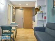 Monolocale arredato San salvario