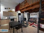 Monolocale arredato Vanchiglia Monolocale arredato Vanchiglia