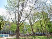 Monolocale Forlanini, umbria, lodi, corvetto, rogoredo