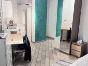 Monolocale in affitto a Cascine