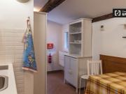 Monolocale in affitto a Centro Storico, Roma