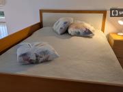 Monolocale in affitto a Città Studi, Milano