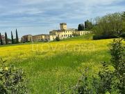 Monolocale in affitto a Firenze via di Torregalli,...