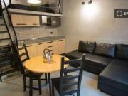 Monolocale in affitto a Milano