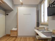 Monolocale in affitto a Santa Croce, Firenze