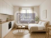 Monolocale in affitto a Torino corso Peschiera, San Paolo