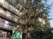 Monolocale in vendita a Milano via Dalmine, 11, Baggio