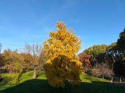 Monolocale in vendita a Milano via dei Frassini, 39, Bovisa