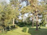 Mont près Chambord 41250 Achat / Vente terrain