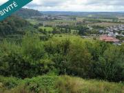 Mont Saint Martin Lorraine 54350 LS98112078